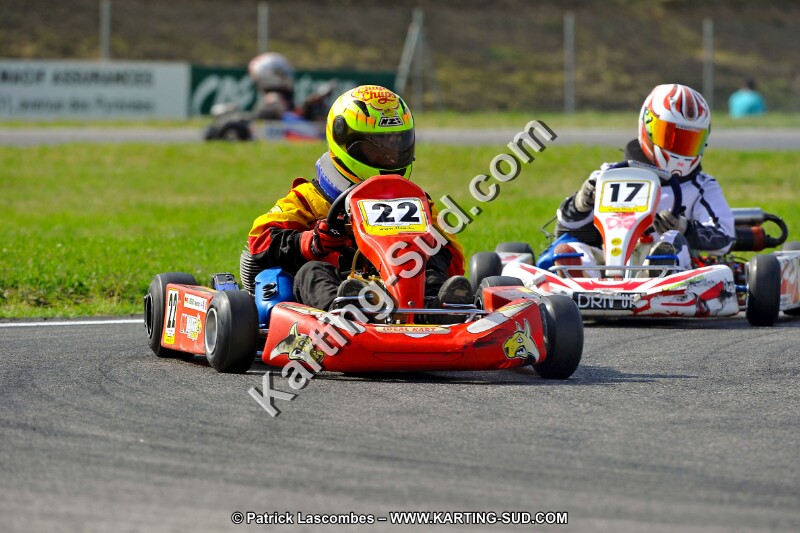 DSC_ (765).jpg